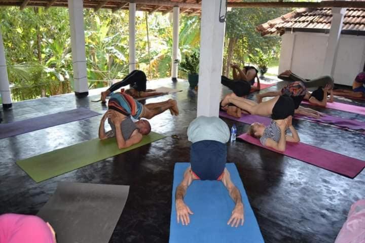 Siri Medura Surf Yoga Meditation And بيت ضيافة فيليغاما